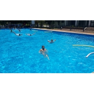 Colonia de Vacaciones - Diciembre 2014